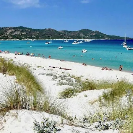 Apartment Style & Confort, Studio Independant, Acces Piscine Oletta (Corsica)